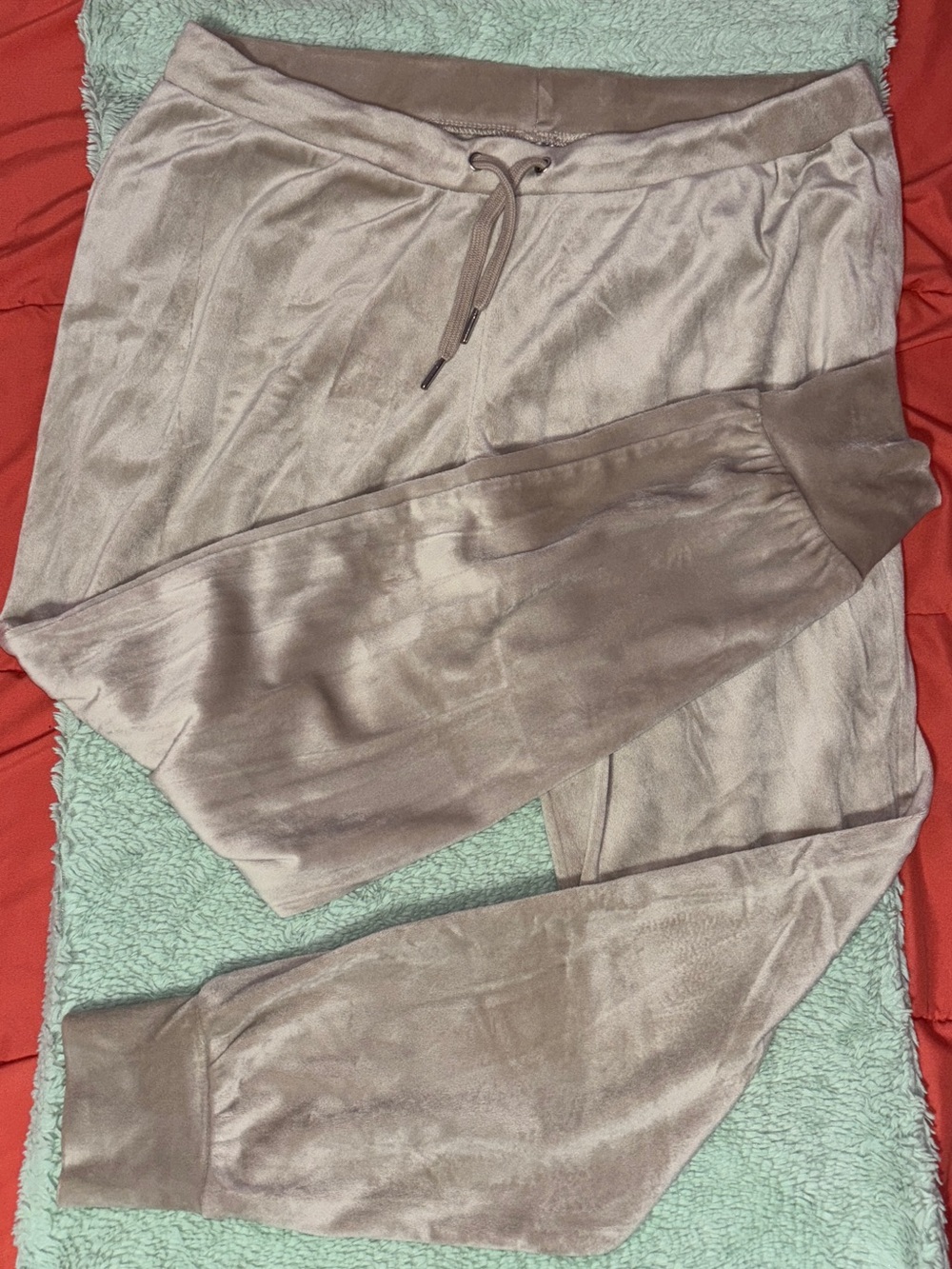 Divided Cream Velvet Jogger Pants